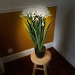 Cocon De La Tour - Jacuzzi - Nuit Romantique 콩피에뉴