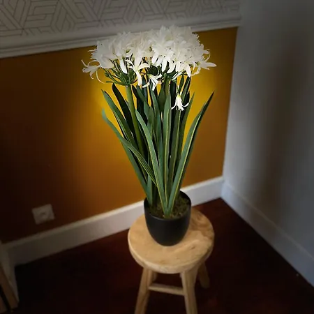 Cocon De La Tour-confort Premium-hyper-centre Compiègne