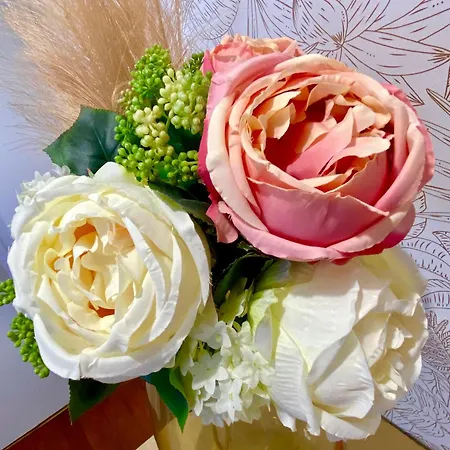 Apartamento Cocon De La Tour-confort Premium-hyper-centre *