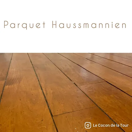 Appartement Cocon De La Tour - Jacuzzi - Nuit Romantique