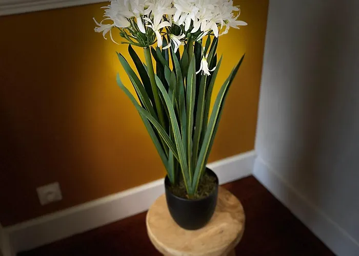 Cocon De La Tour - Jacuzzi - Nuit Romantique Compiègne